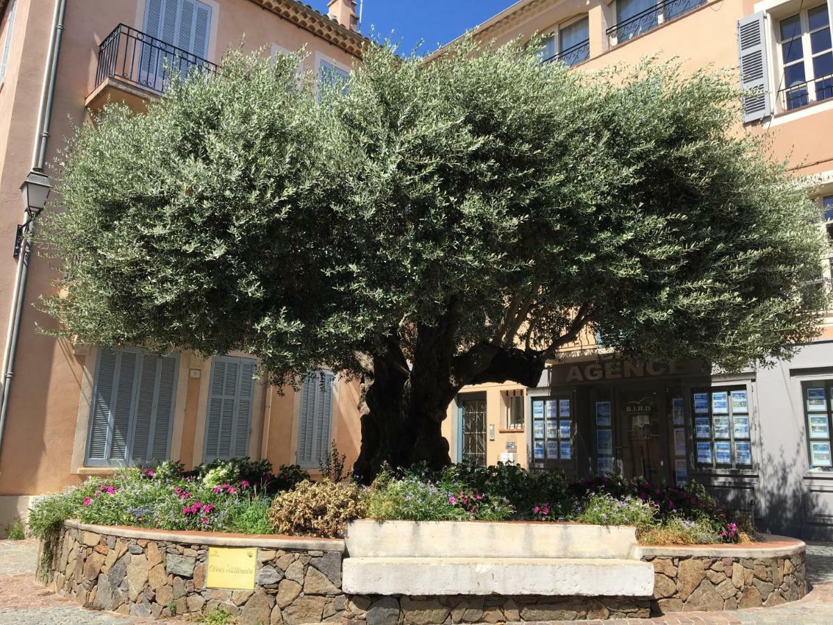 Bastide Du Levant Sainte-Maxime Ngoại thất bức ảnh